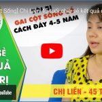 chi lien - gai cot song